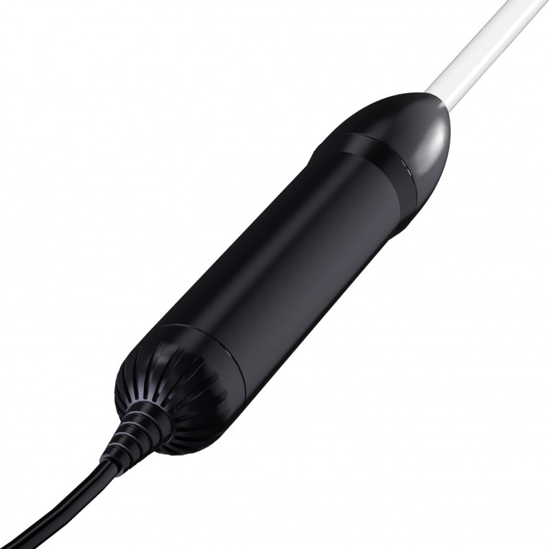 BactoSfera DARSONVAL Black
