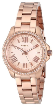 Fossil AM4578