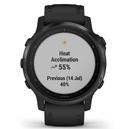 Спортивные часы Garmin fenix 6S, Pro and Sapphire editions, Black with black band, GPS навігатор