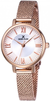 Женские наручные часы Daniel Klein DK11897-2